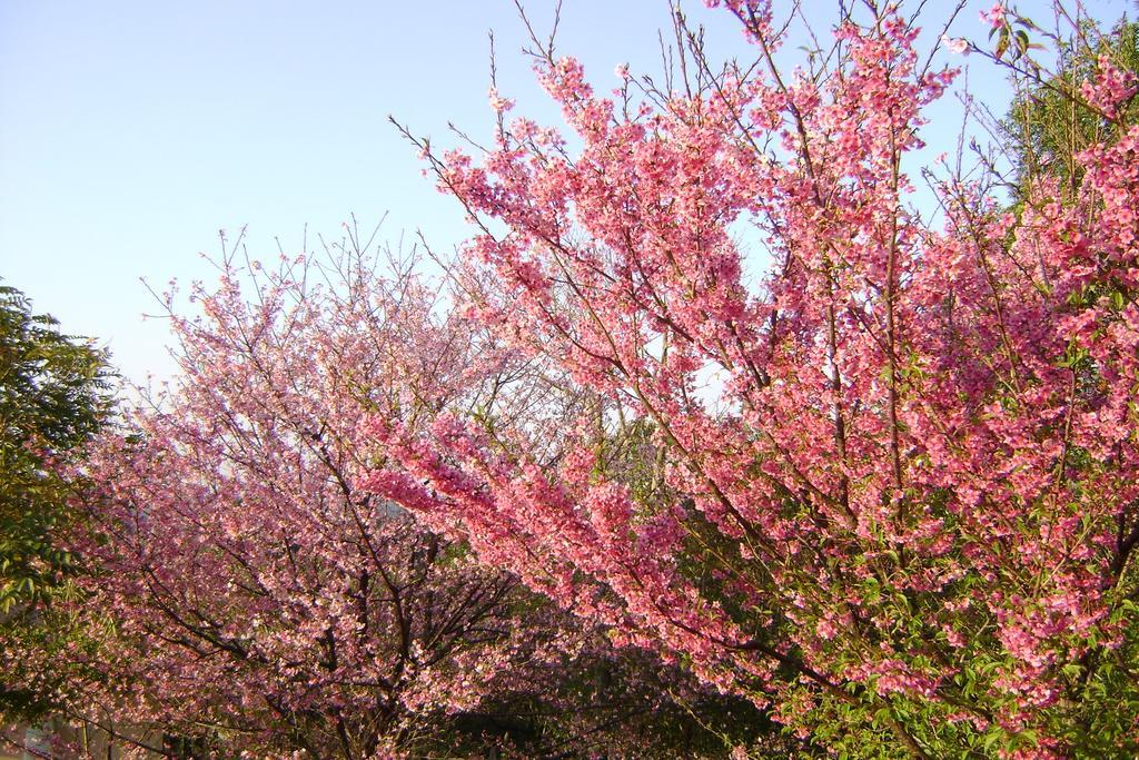 Pousada Passaredo Montanha Ibiúna 외부 사진